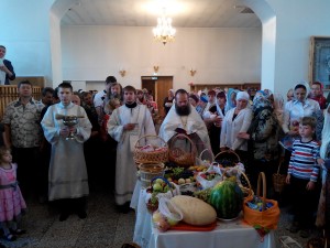 IMG_1537